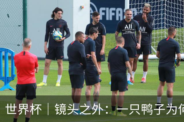 世界杯｜镜头之外：一只鸭子为何火遍世界杯？