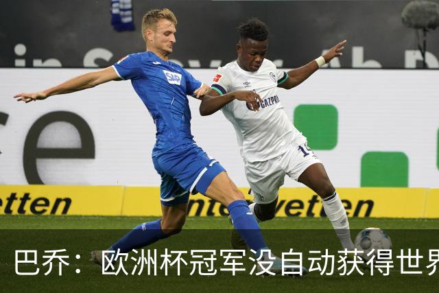 巴乔：欧洲杯冠军没自动获得世界杯资格 这是耻辱